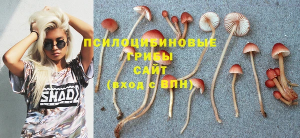 прущая мука Аркадак