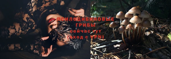 гидра Ладушкин